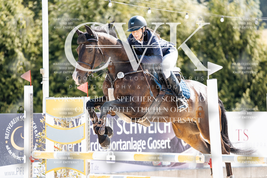 CK908705 | Turnierfotografie Pferdefotografie Trier Rheinland-Pfalz Pferdesport Reitsport Tierfotografie Sportfotografie Pferdevideo Pferdevideografie Equestrianvideography equestrianphotography  - Realisiert mit Pictrs.com