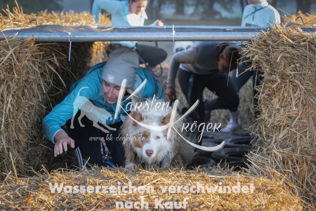 0857_ZZ90197 | kk-dogfotos