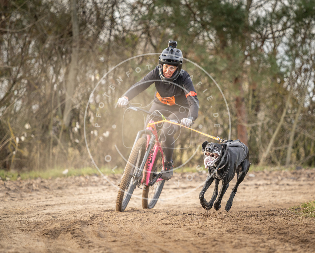 Pfotenfotografie_DV3A8021 | Hundefotografie, Tierfotograf, Pfotenfotografie, Fotoshooting Hund, Hunde Portrait, Hundesport, Hundeportraits, Heideshooting, Hunde, Sportfotograf, Hundefotograf, Turnierhundsport, THS,  - Realisiert mit Pictrs.com