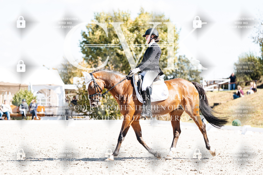 CK903725 | Turnierfotografie Pferdefotografie Trier Rheinland-Pfalz Pferdesport Reitsport Tierfotografie Sportfotografie Pferdevideo Pferdevideografie Equestrianvideography equestrianphotography  - Realisiert mit Pictrs.com