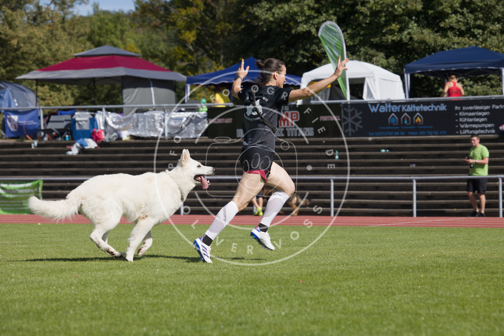 0L8A7220 | Hundefotografie, Tierfotograf, Pfotenfotografie, Fotoshooting Hund, Hunde Portrait, Hundesport, Hundeportraits, Heideshooting, Hunde, Sportfotograf, Hundefotograf, Turnierhundsport, THS,  - Realisiert mit Pictrs.com