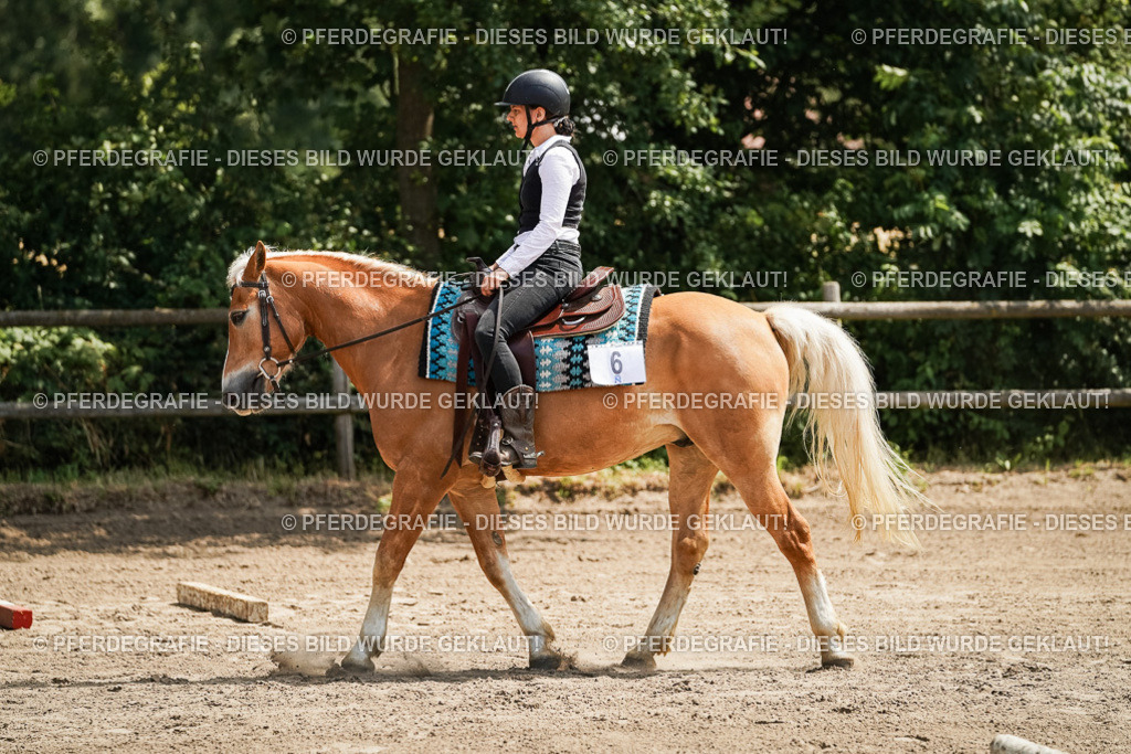 DSC07136 | Pferdegrafie