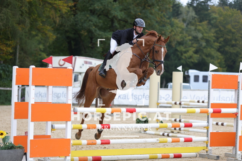 0P6A3154 | Willkommen bei Brunnmayr - Design & Fotografie – Ihrem Spezialisten für Reitturniere und Pferdeveranstaltungen in Oberösterreich, Salzburg und Bayern! Seit über 17 Jahren sind wir leidenschaftlich dabei.
