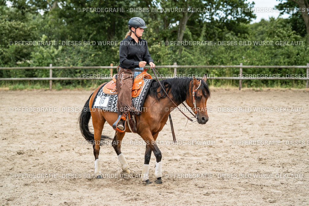 DSC02053 | Pferdegrafie