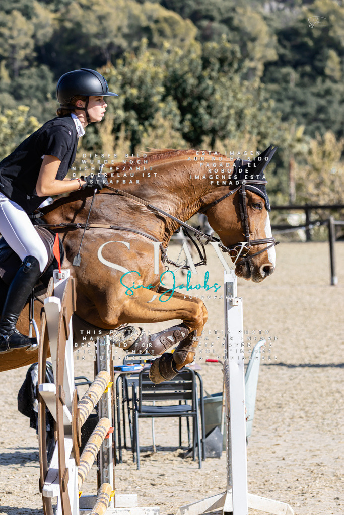 IMG_0710 | s-jay-photography - Realisiert mit Pictrs.com