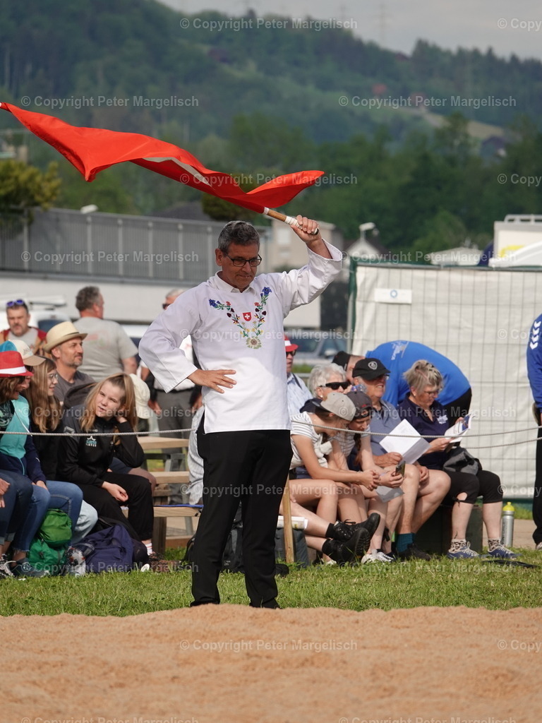 DSC06671 | Schwingen - Realisiert mit Pictrs.com