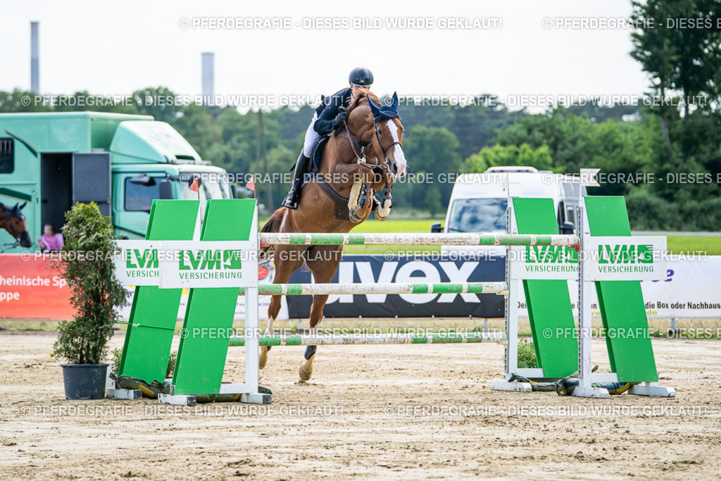 DSC06672 | Pferdegrafie