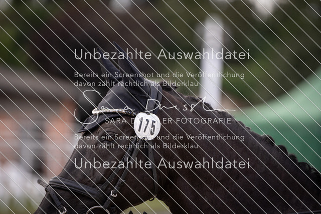 SD_OED_05785 | saradresslerfotografie - Realisiert mit Pictrs.com