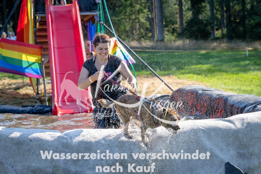 1626_ZZ94113 | kk-dogfotos