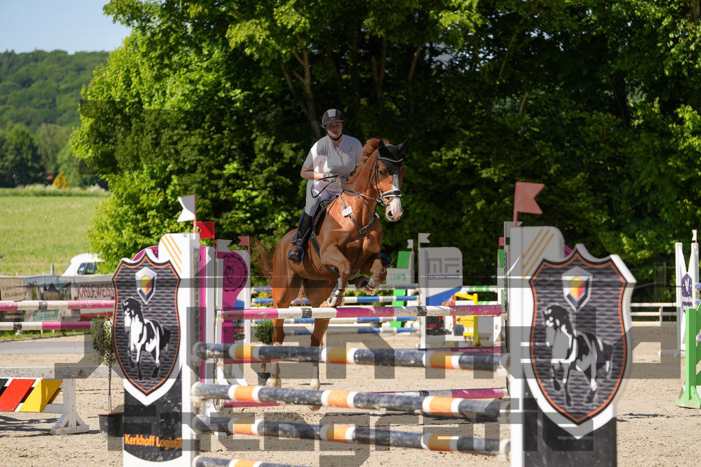 DSC02377 | Julian Held Fotografie - Realisiert mit Pictrs.com