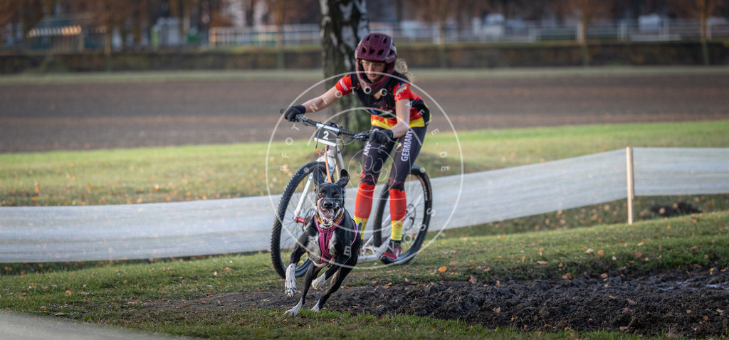 CaniXpix_DV3A9265 | Hundefotografie, Tierfotograf, Pfotenfotografie, Fotoshooting Hund, Hunde Portrait, Hundesport, Hundeportraits, Heideshooting, Hunde, Sportfotograf, Hundefotograf, Turnierhundsport, THS,  - Realisiert mit Pictrs.com