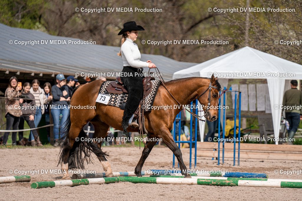 BAL02553 | dv-media-shop - Realisiert mit Pictrs.com