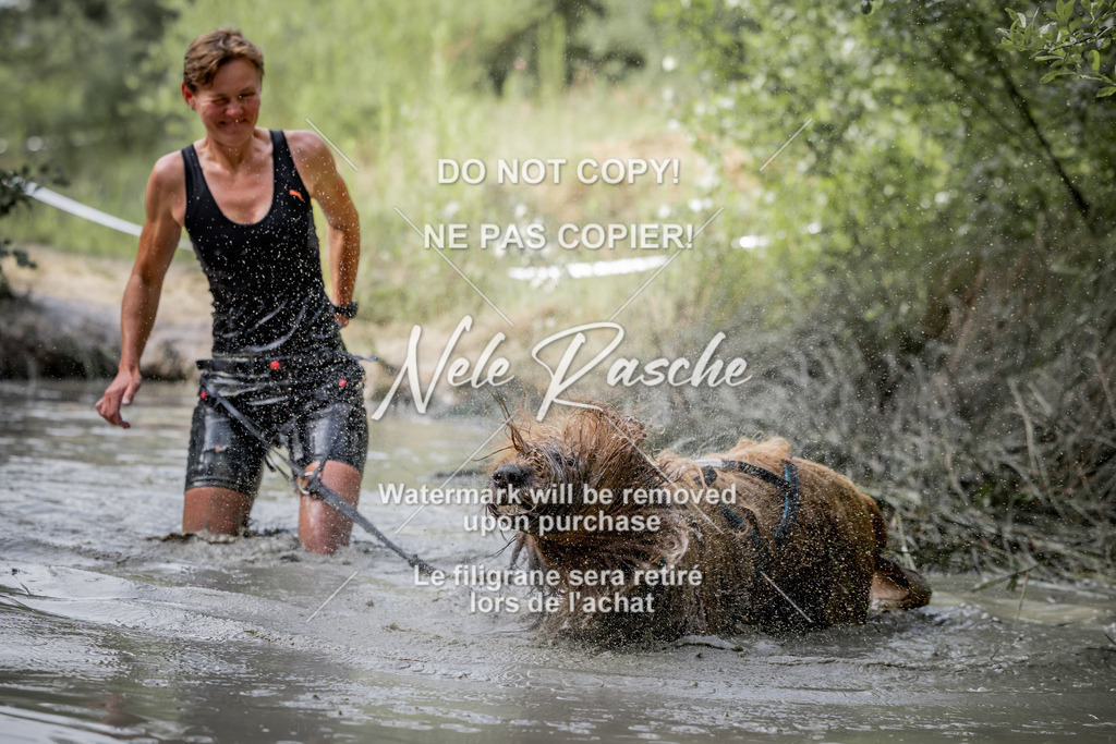 nelerasche_so0800-0930_90 | nelerasche