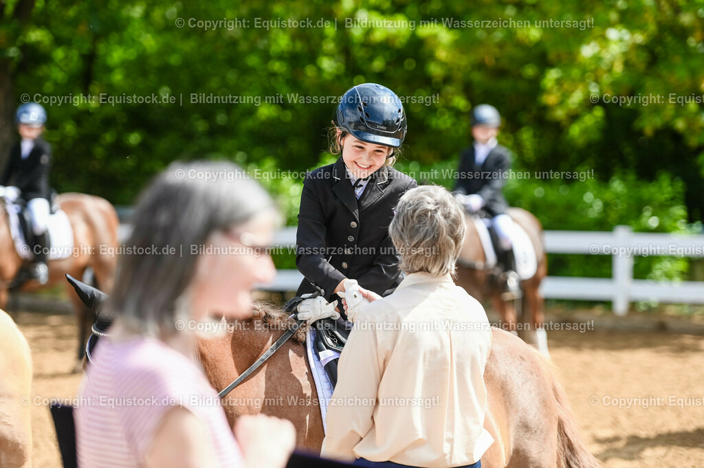 20230716_10-3_Reiter-WB Schritt - Trab - Galopp_0207 | equistock