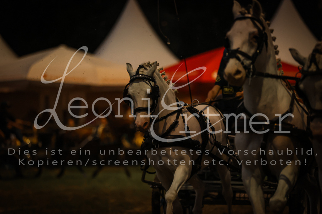 SaShow00305 | Leoni Ertmer Photography - Realisiert mit Pictrs.com