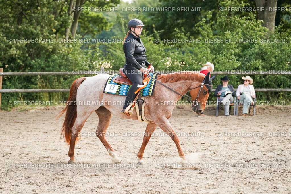 DSC04698 | Pferdegrafie