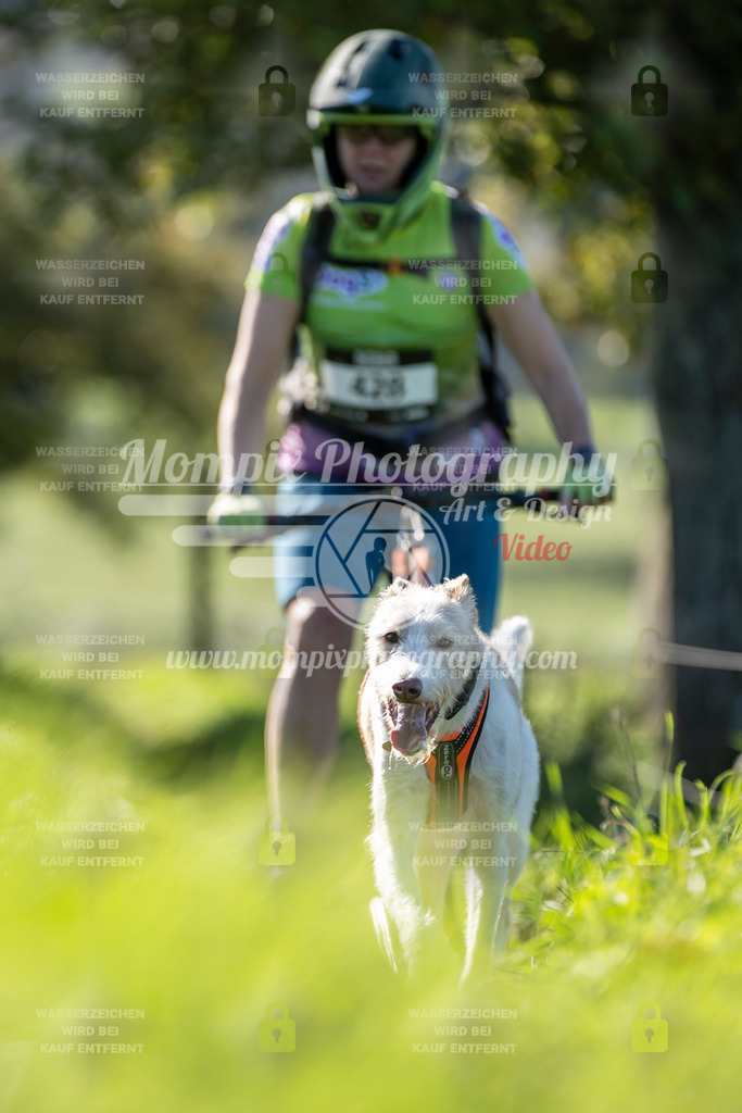 MompixPhotography_20TSB_E3_DS1-70 | PayLife