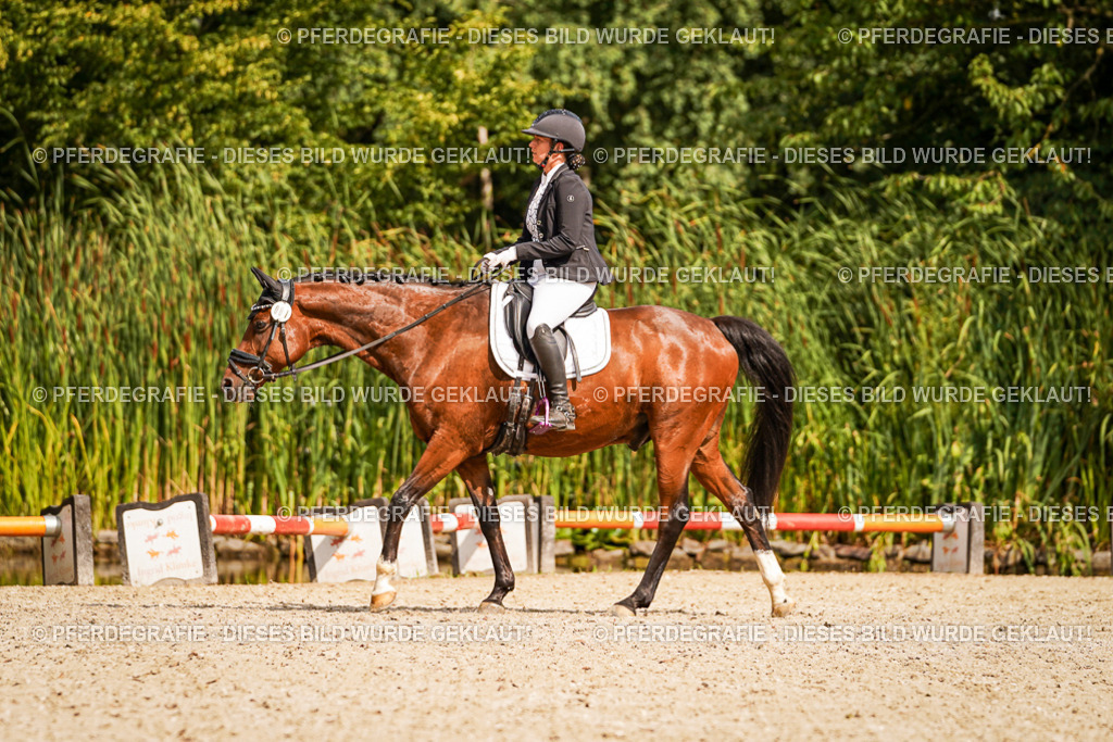 DSC01475 | Pferdegrafie