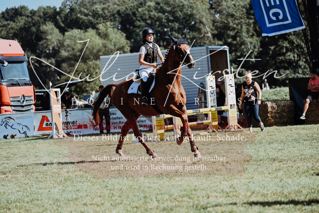 DSC_6714 | Pferde- und Turnierfotografie in Westsachsen. Pferdeportraits, Auftragszeichnungen und intuitive Kunst.