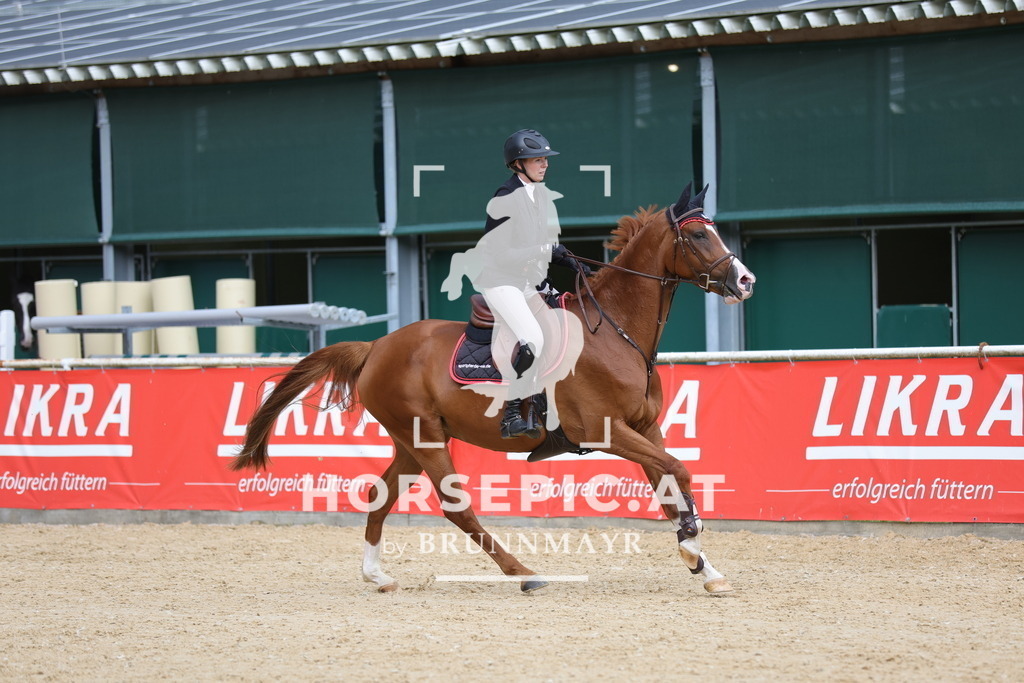 0P6A3853 | Willkommen bei Brunnmayr - Design & Fotografie – Ihrem Spezialisten für Reitturniere und Pferdeveranstaltungen in Oberösterreich, Salzburg und Bayern! Seit über 17 Jahren sind wir leidenschaftlich dabei.