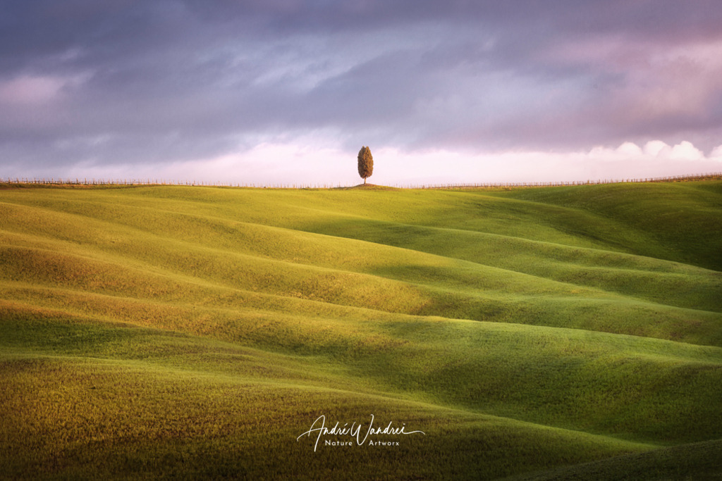 Der einsame Baum | Andre Wandrei - Nature Artworx - Realisiert mit Pictrs.com