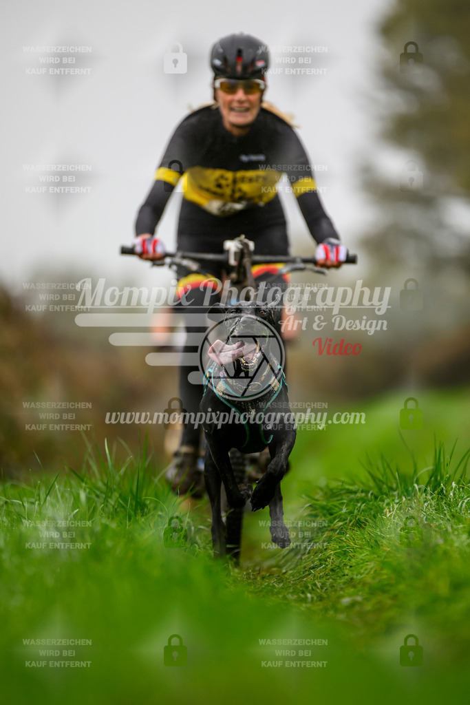 MompixPhotography_20TSB_E8_Bike-85 | PayLife