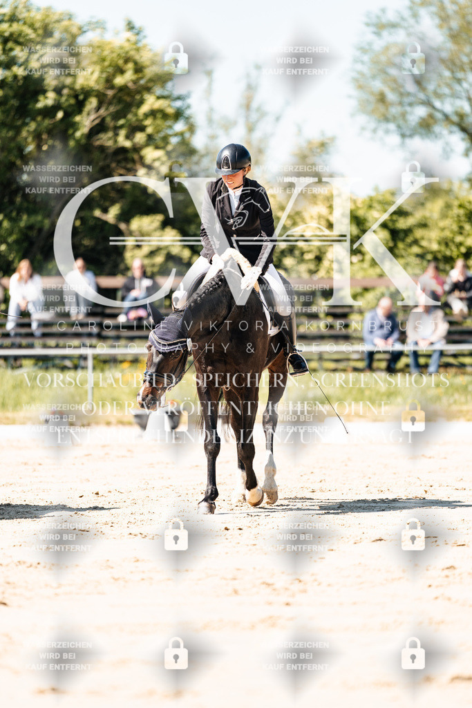 CK905111 | Turnierfotografie Pferdefotografie Trier Rheinland-Pfalz Pferdesport Reitsport Tierfotografie Sportfotografie Pferdevideo Pferdevideografie Equestrianvideography equestrianphotography  - Realisiert mit Pictrs.com