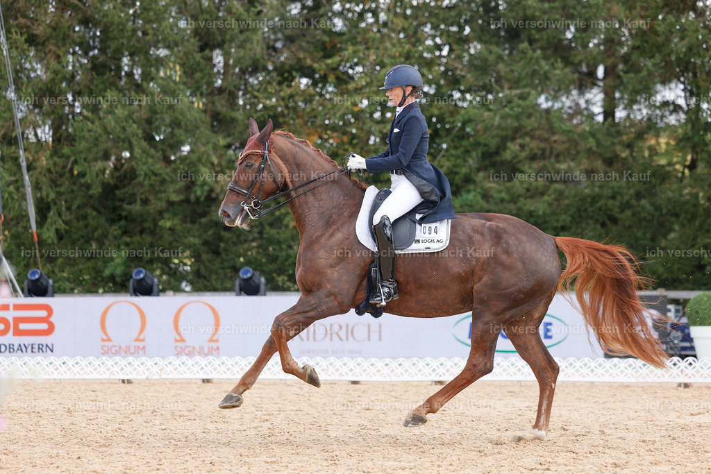09_2-094-DRESSUR  S_  -StoibPH-5870 | working equitationturnier fotograf videograf stoibphotography marixx film working equitation deutschland reitsport turnierfotografie eventfotografie equestrian events