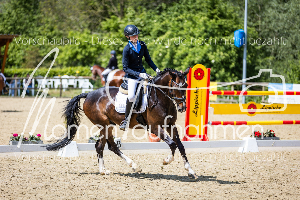 Donop24-EDre-017 | MomenTaufnahmen Pferdesportfotos