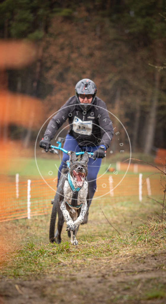 DV3A9114 | Hundefotografie, Tierfotograf, Pfotenfotografie, Fotoshooting Hund, Hunde Portrait, Hundesport, Hundeportraits, Heideshooting, Hunde, Sportfotograf, Hundefotograf, Turnierhundsport, THS,  - Realisiert mit Pictrs.com