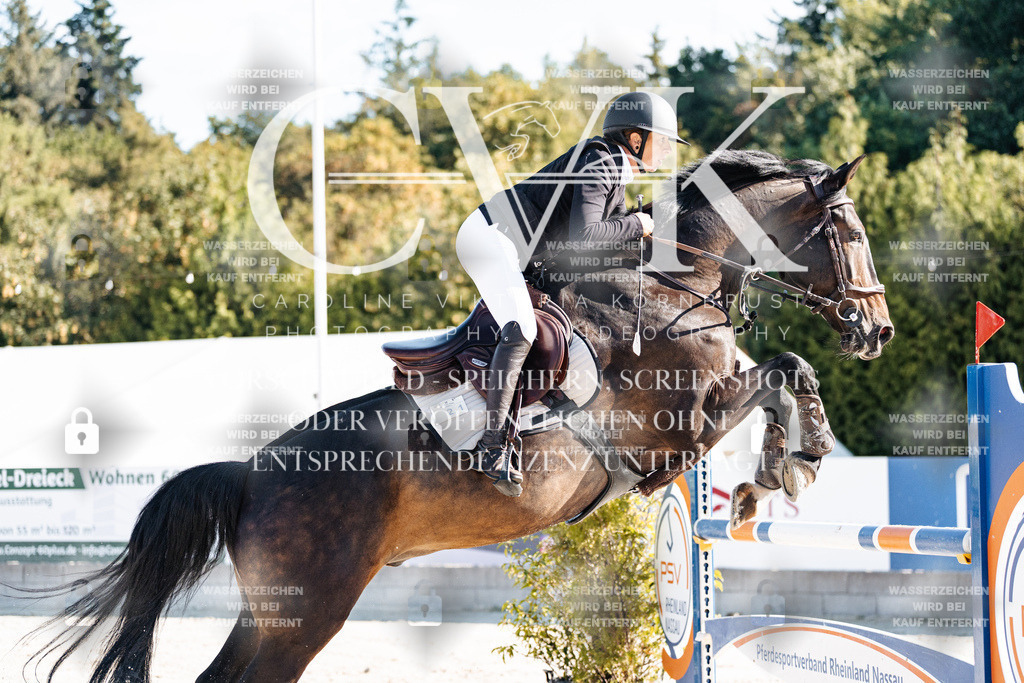 CK904542 | Turnierfotografie Pferdefotografie Trier Rheinland-Pfalz Pferdesport Reitsport Tierfotografie Sportfotografie Pferdevideo Pferdevideografie Equestrianvideography equestrianphotography  - Realisiert mit Pictrs.com