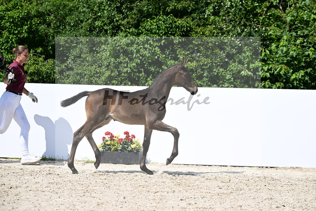 Fuerst Toto x Rubin-Royal_HF_Juerges_13251522 | hf-fotografie - Realizzato con Pictrs.com