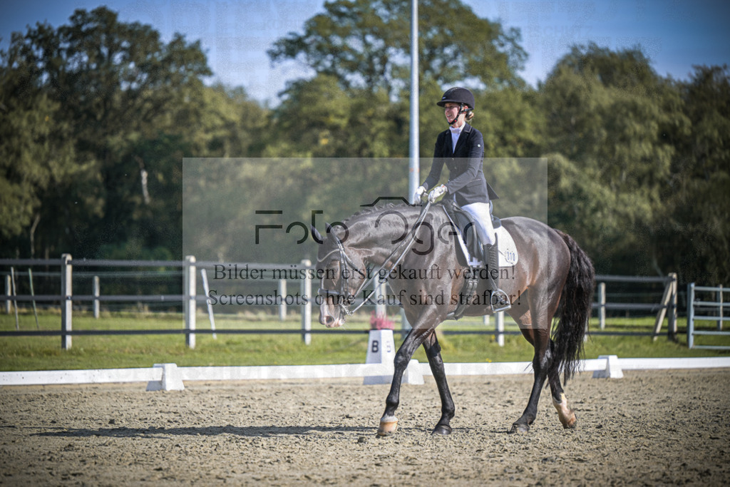 DOS_1997 | Entdecke hochwertige Reitturnierfotos von Foto Oger. Professionell, emotional und authentisch – jetzt Lieblingsmomente im Shop bestellen.Deutschlandweite Turnierfotografie. - Realisiert mit Pictrs.com