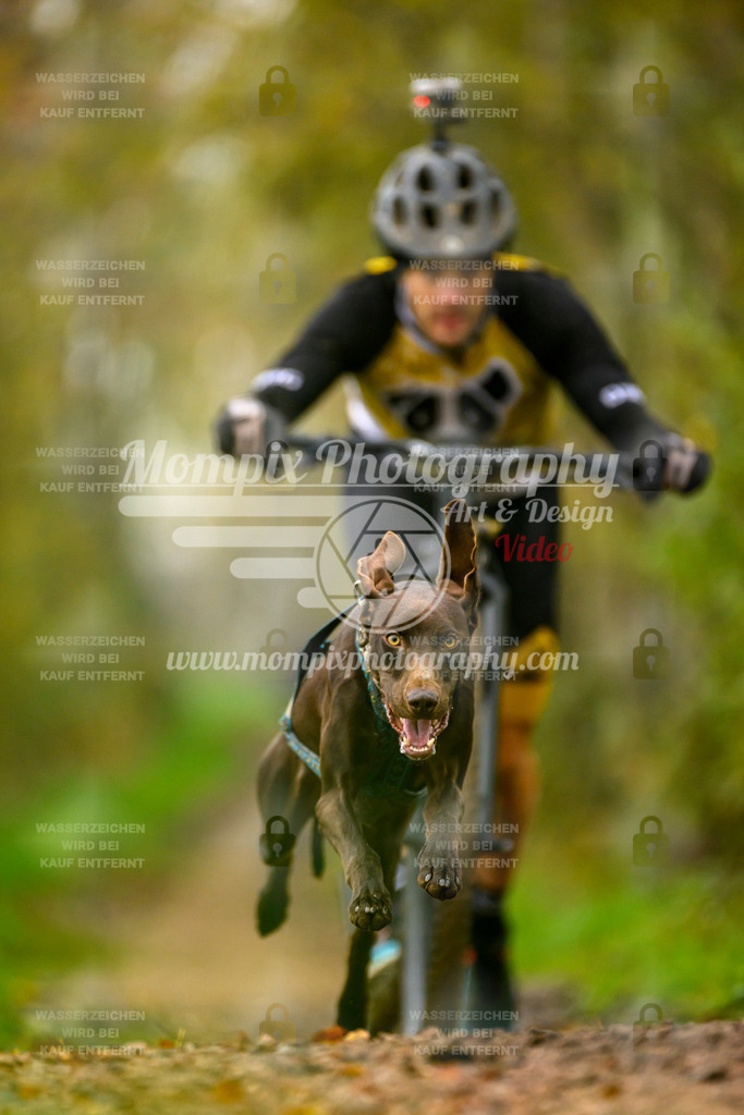 MompixPhotography_20TSB_E6_DS1-15 | PayLife