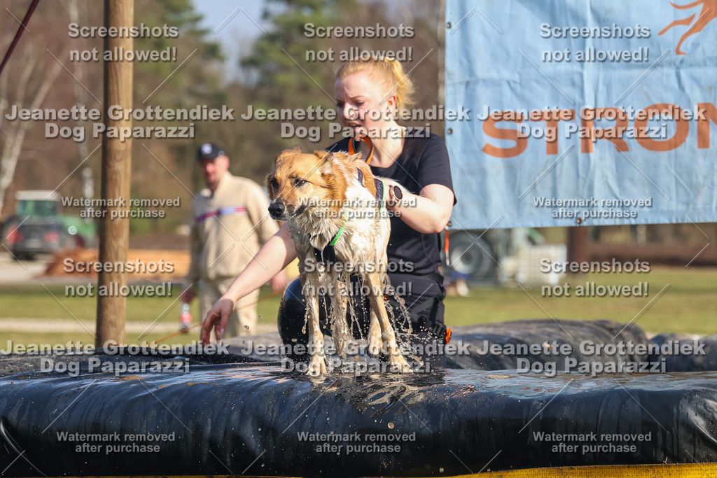 Dog Paparazzi - Strongdog North Mrz26-2584 | Dog Paparazzi Jeanette Grottendiek Fotografie & Videografie - Realisiert mit Pictrs.com