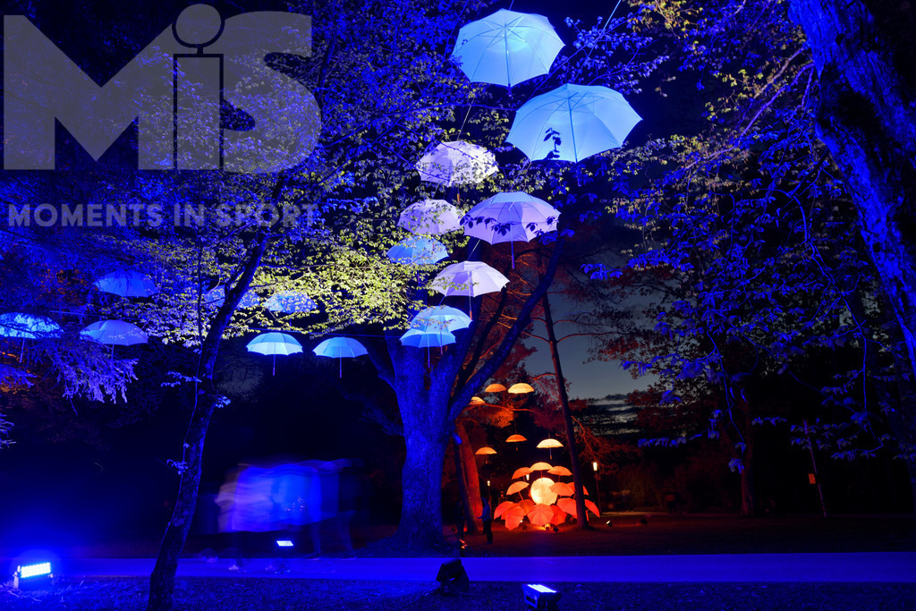 mis310719RF02.JPG | 14.05.2021, Bad Wörishofen, Kurpark, Abends ab 20:00 Uhr, Kurpark-Leuchten 2, "unter dem Schirm von Pfarrer Sebastian Kneipp" eine Illumination im Kurpark anlässlich 200. Geburtstag des Wasserdoktors Pfarrer Kneipp. Der Allgäuer Künstler Thomas Mogendorf verteilte Regenschirm-Modelle seines Entwurfes, im Kurpark, Die Szenerien werden in den Abendstunden stimmungsvoll beleuchtet. - Realisiert mit Pictrs.com