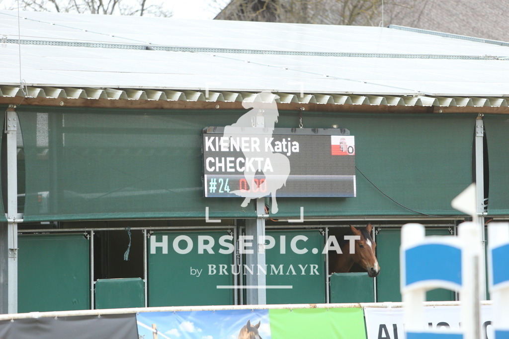 DL2Q6290 | Willkommen bei Brunnmayr - Design & Fotografie – Ihrem Spezialisten für Reitturniere und Pferdeveranstaltungen in Oberösterreich, Salzburg und Bayern! Seit über 17 Jahren sind wir leidenschaftlich dabei.