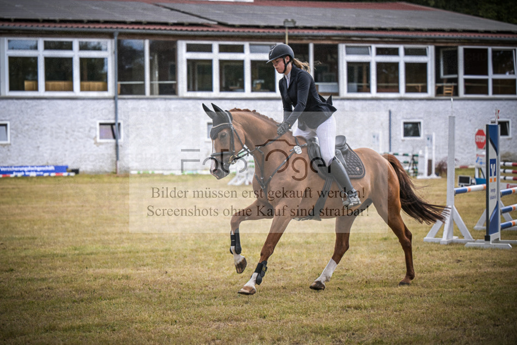 DOS_0215 | Entdecke hochwertige Reitturnierfotos von Foto Oger. Professionell, emotional und authentisch – jetzt Lieblingsmomente im Shop bestellen.Deutschlandweite Turnierfotografie. - Realisiert mit Pictrs.com