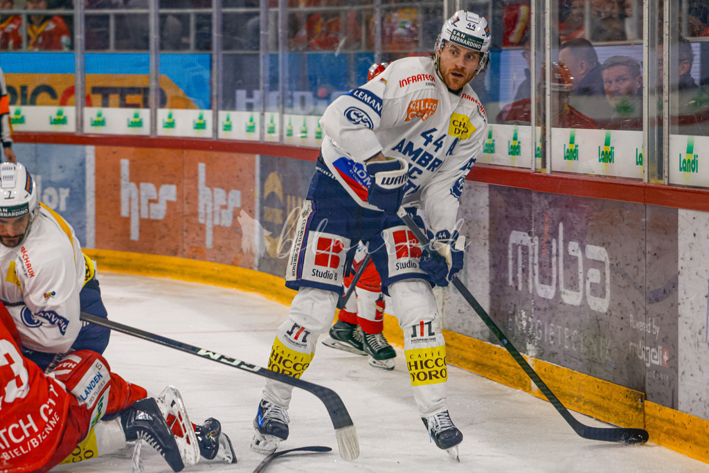 EHCB vs HCAP 20260115_wb-4223 | Sportbilder, Sportfotograf, Hochzeits- und Eventfotografin, Flugshows, Portraits und Tiershooting, Aviation, Downhill, Nationalleague, Swissleague, International