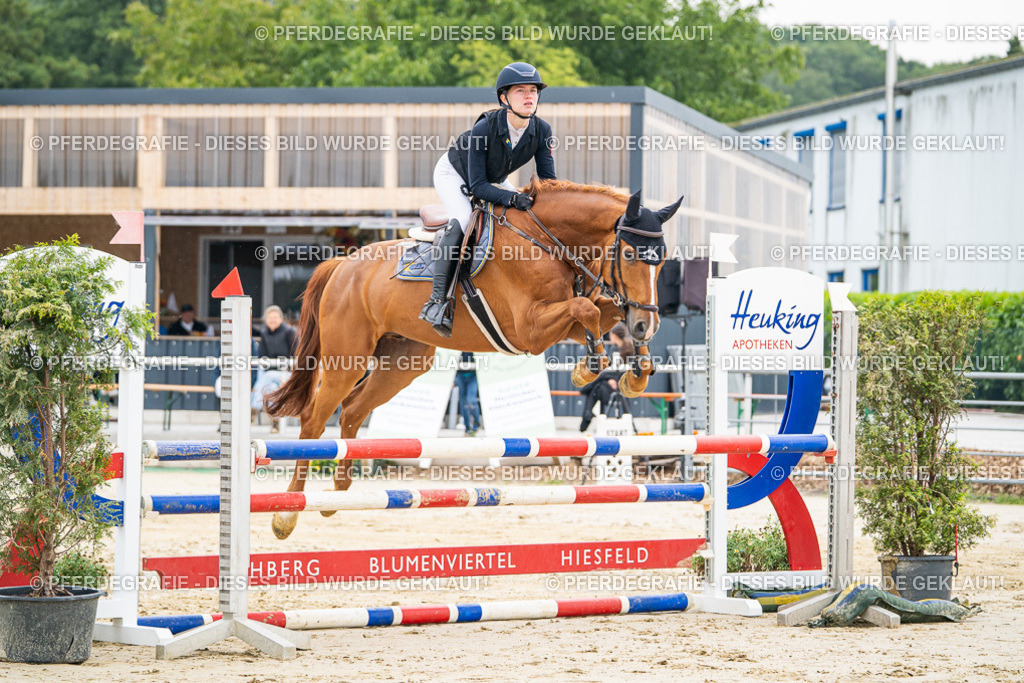 DSC09472 | Pferdegrafie