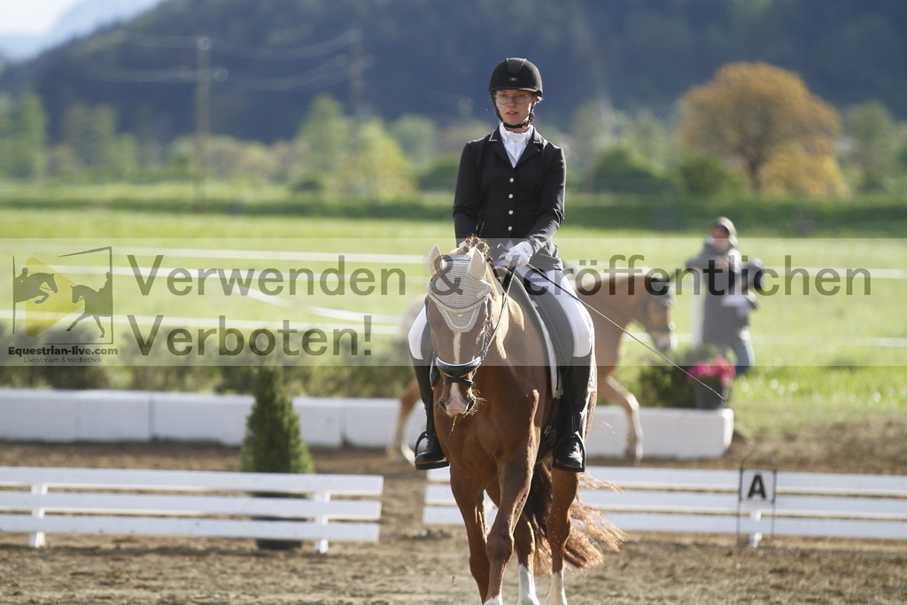 _MG_4268 | equestrian-live-com