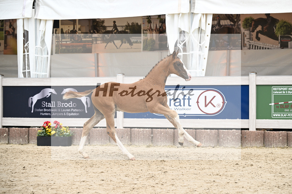 Filox x Borsalino_HF_Geiger_12250601 | hf-fotografie - Realisiert mit Pictrs.com