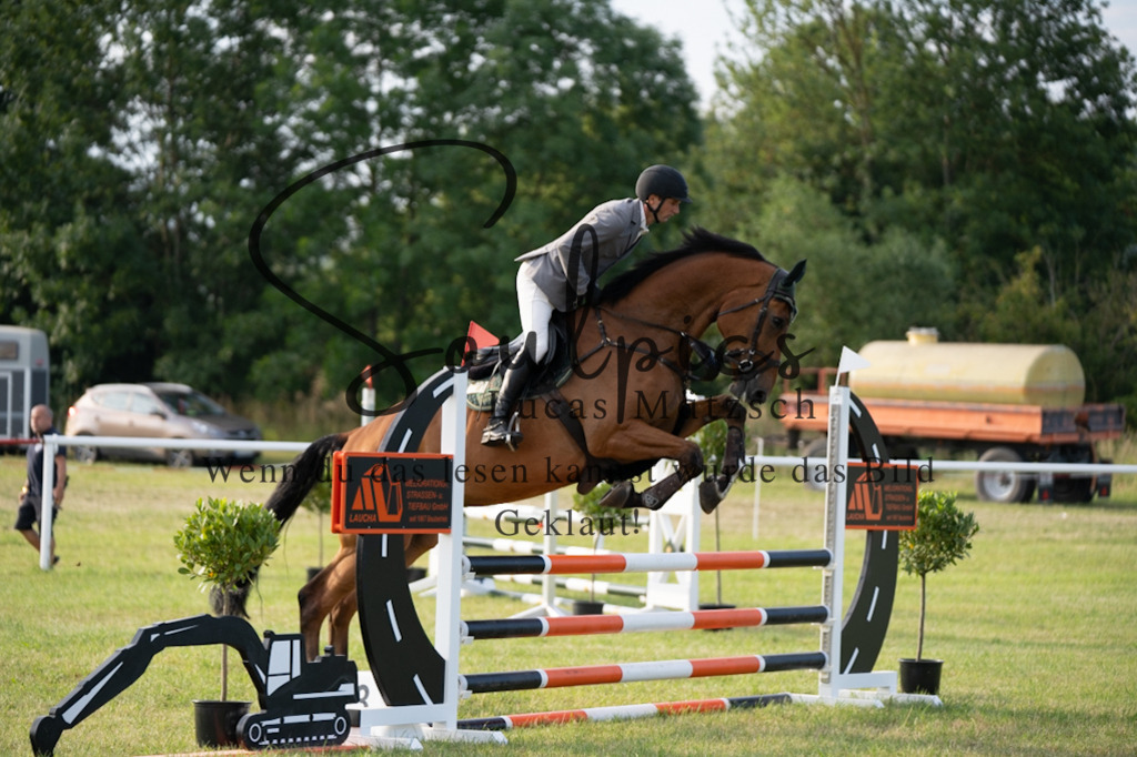 A7V01109 | Pferdefotograf