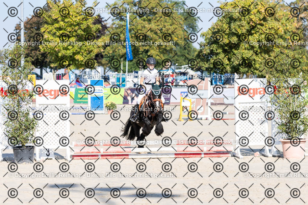 CL5A0141 | Emilia Reinking Fotografie - Realisiert mit Pictrs.com