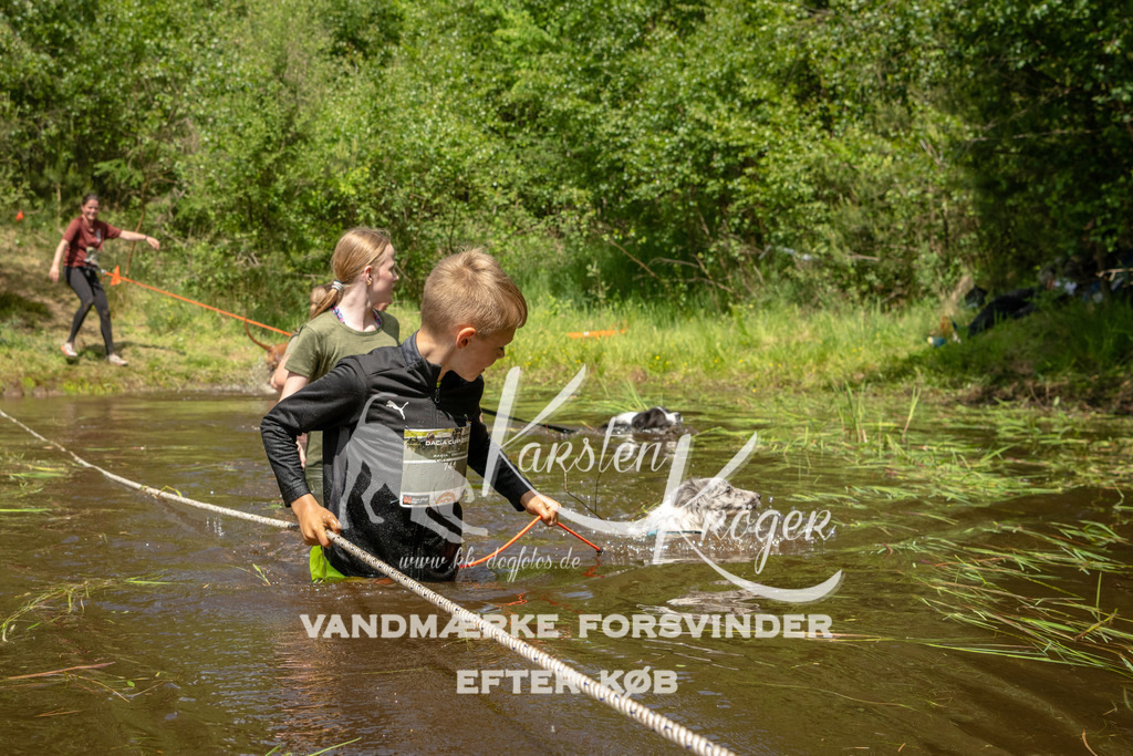 1238DKK993229 | kk-dogfotos