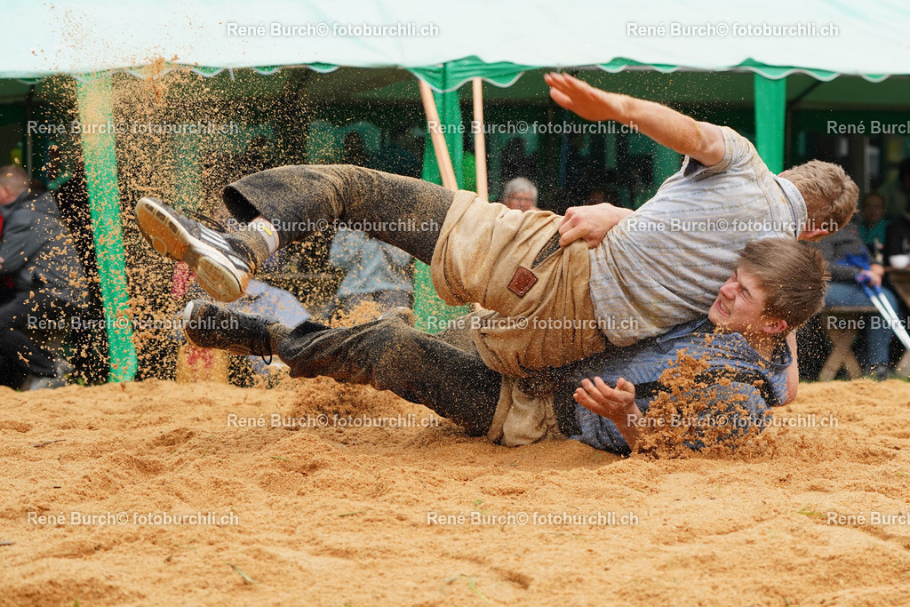 20220423-DSC08657 (2) | René Burch leidenschaftlicher Fotograf aus Kerns in Obwalden.  Hier finden sie Sport, Landschaft und Natur Fotografie.
 - Realisiert mit Pictrs.com