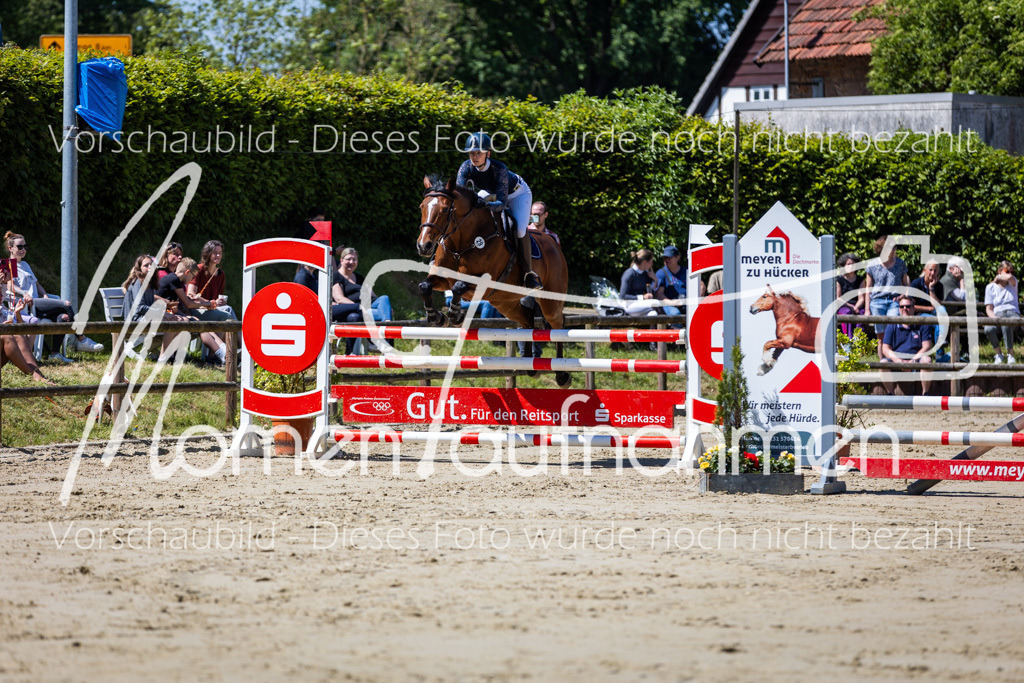 Donop24-Stil-L-032 | MomenTaufnahmen Pferdesportfotos