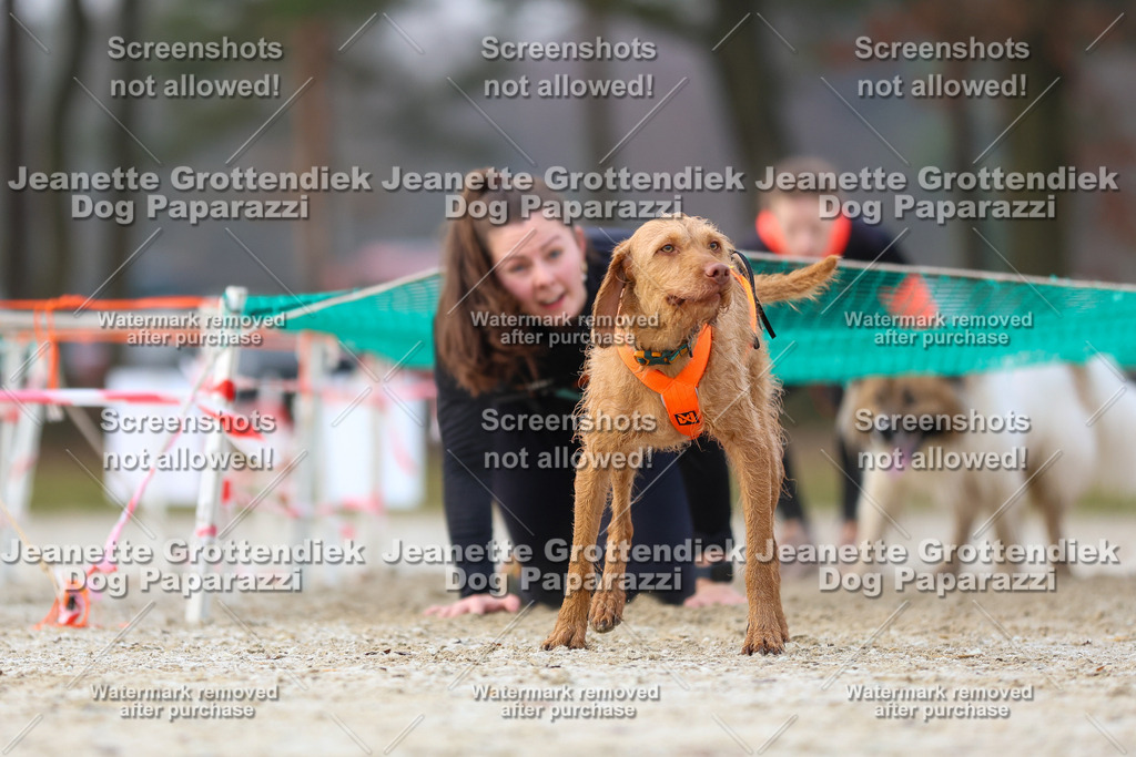 Dog Paparazzi - Strongdog North Mrz26-3684 | Dog Paparazzi Jeanette Grottendiek Fotografie & Videografie - Realisiert mit Pictrs.com