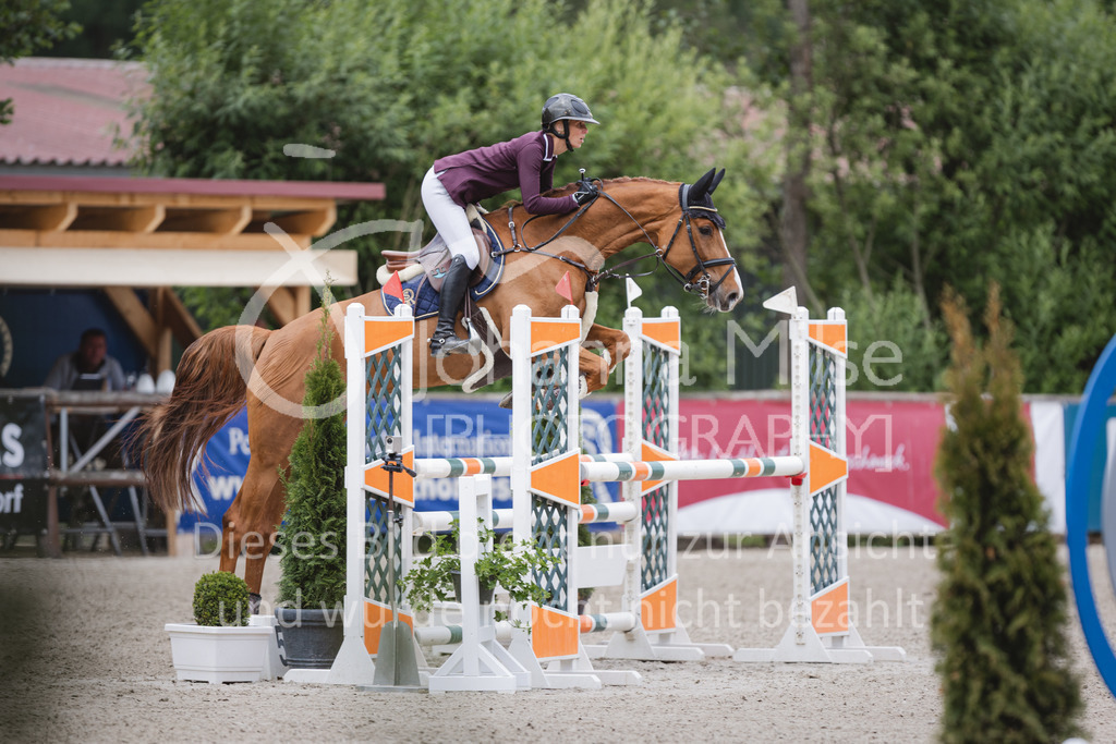 220614_Mühlen_SprPfL-500 | Late Entry Mühlen
Springpferdeprüfung Kl.L 4-7j. gl. Einlaufprüfung für 5j.Pferde
14.06.2022