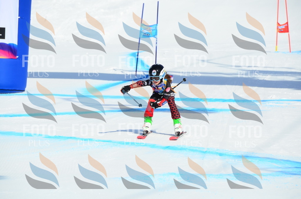 DSC_0509 | holidayphoto